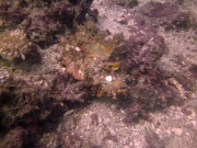 PICT0965