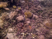 PICT0970