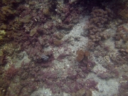 PICT0972