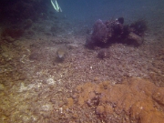 PICT0973